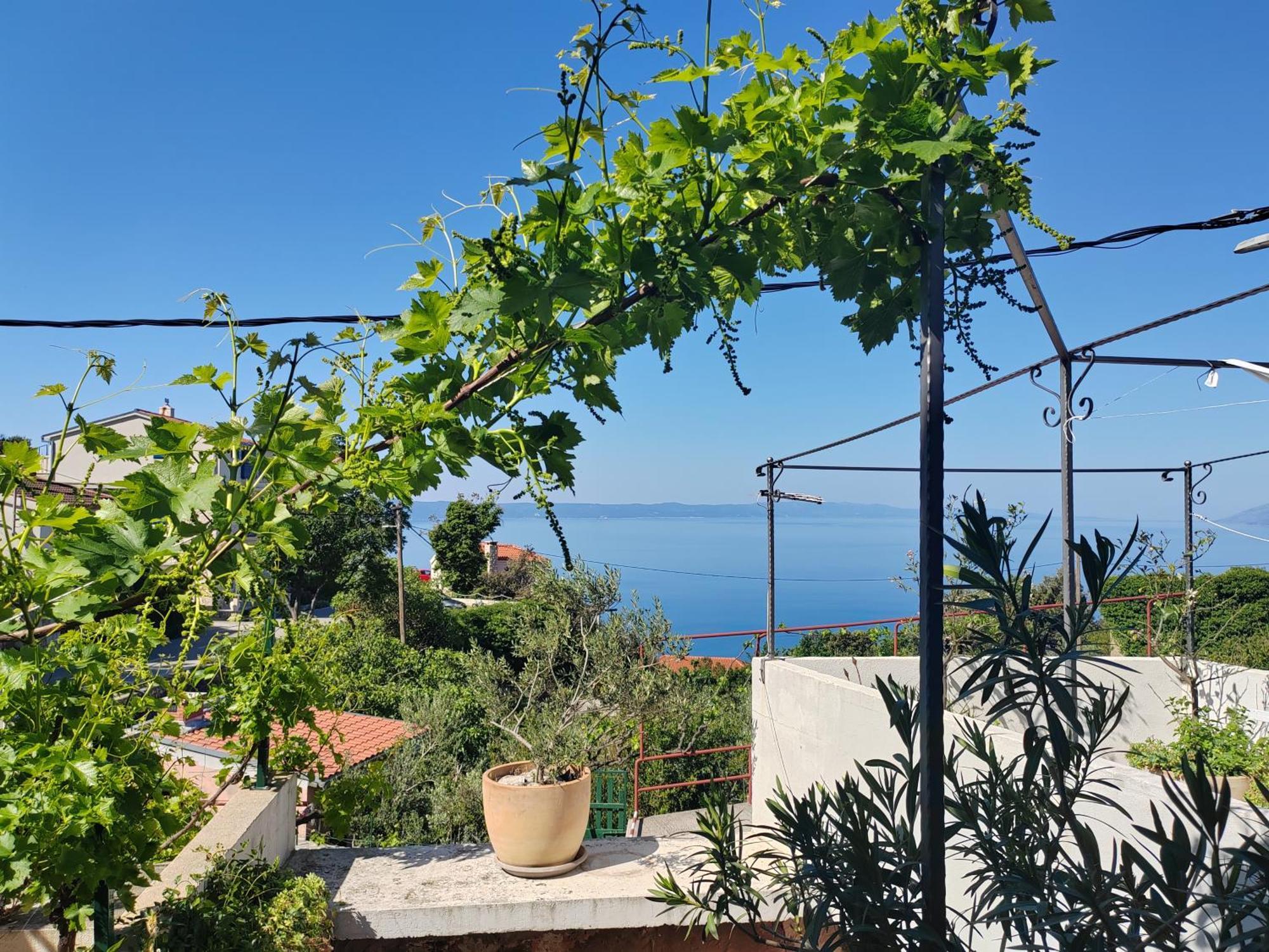 Appartement Mala Cele à Podgora Chambre photo